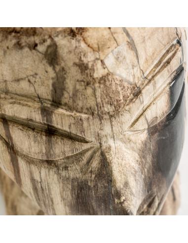 BUSTO SURT BUSTO SURT