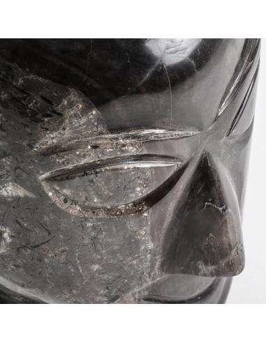 BUSTO SURT BUSTO SURT