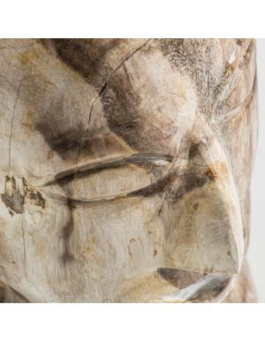 BUSTO SURT BUSTO SURT