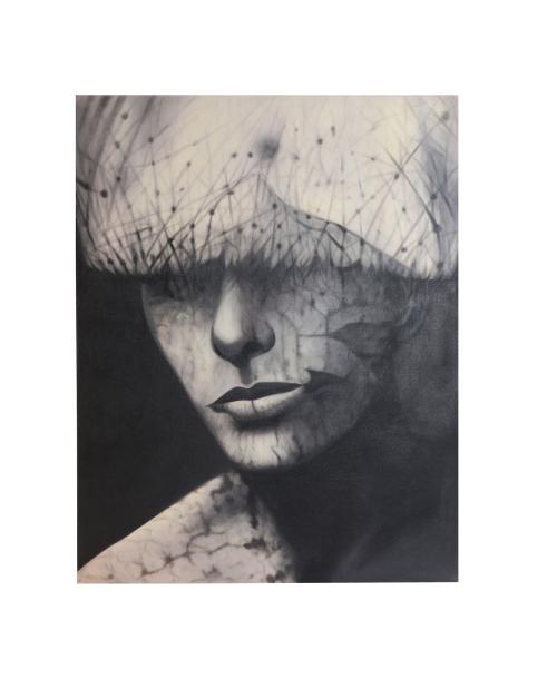 LIENZO GEOS LIENZO GEOS