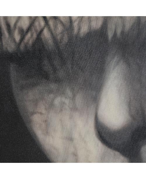 LIENZO GEOS LIENZO GEOS