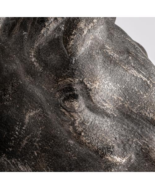 BUSTO HORSE BUSTO HORSE