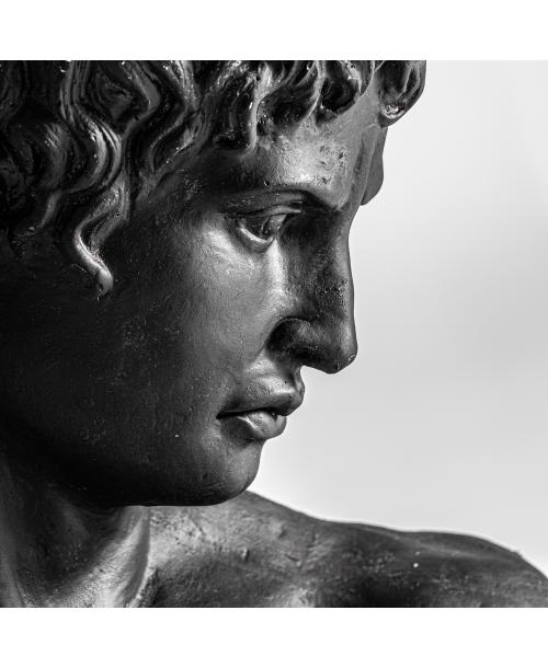 BUSTO HELIOS BUSTO HELIOS