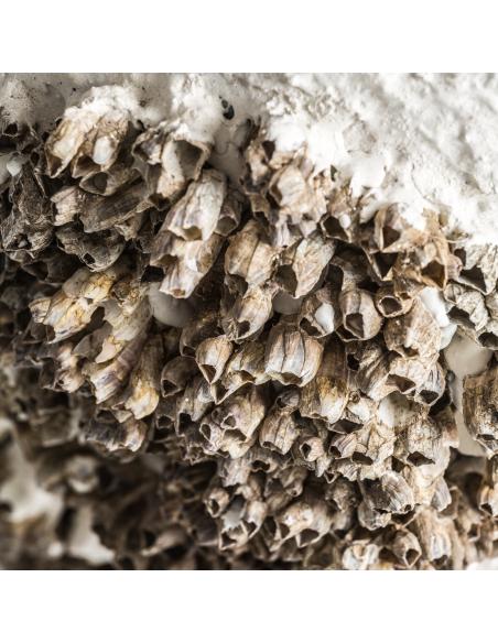 LÁMPARA DE SOBREMESA