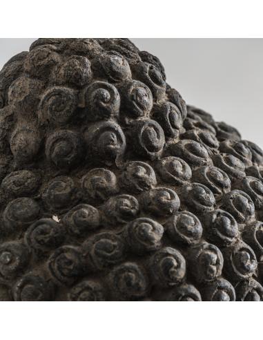 BUSTO BUDHA BUSTO BUDHA