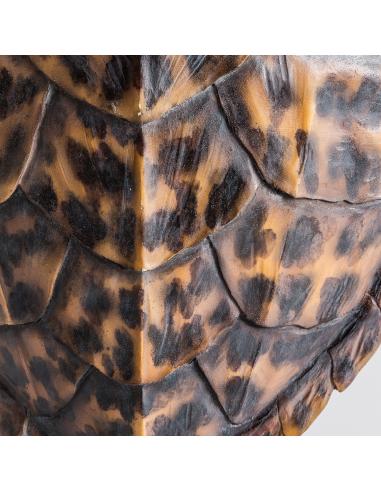 FIGURA TORTUGA FIGURA TORTUGA