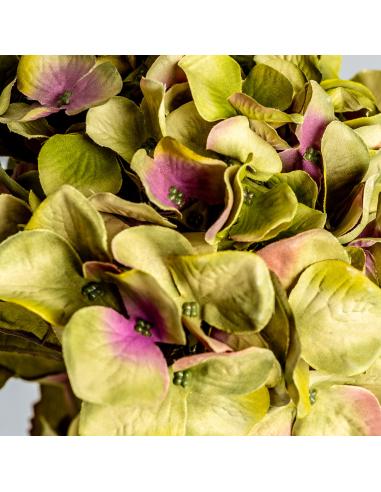FLOR HORTENSIA