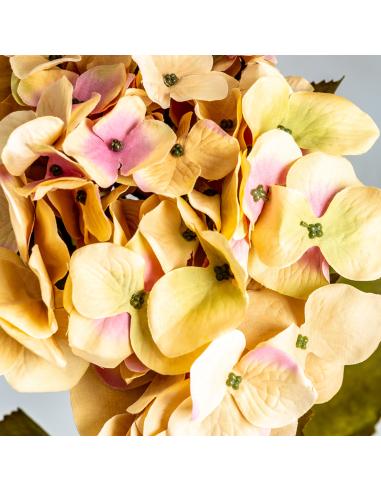 FLOR HORTENSIA