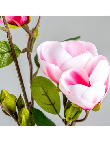 FLOR MAGNOLIA