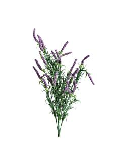 FLOR LAVANDA