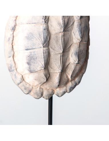 ESCULTURA CAPARAZÓN TORTUGA ESCULTURA CAPARAZÓN TORTUGA