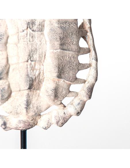 ESCULTURA CAPARAZÓN TORTUGA