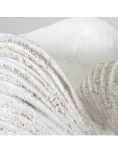 FIGURA CARACOLA MAR 2