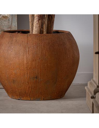 ÁNFORA ASCLEPIA ÁNFORA ASCLEPIA