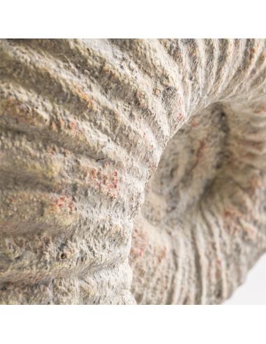 FIGURA CARACOLA FIGURA CARACOLA