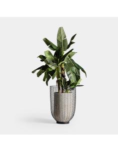 ÁNFORA J/2 PLISSÉ METAL 2