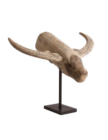 BUSTO TORO