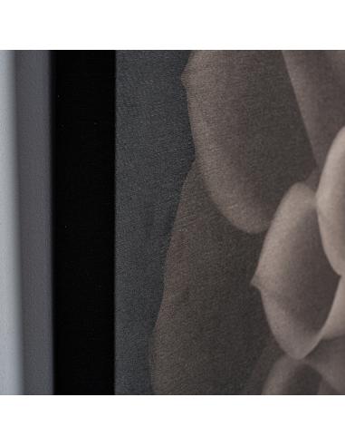 LIENZO WHILL LIENZO WHILL