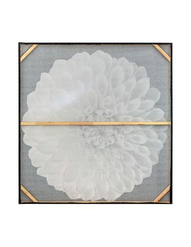 LIENZO WHILL LIENZO WHILL