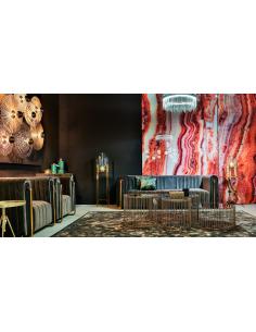 LÁMINA ASTANXATINA 2