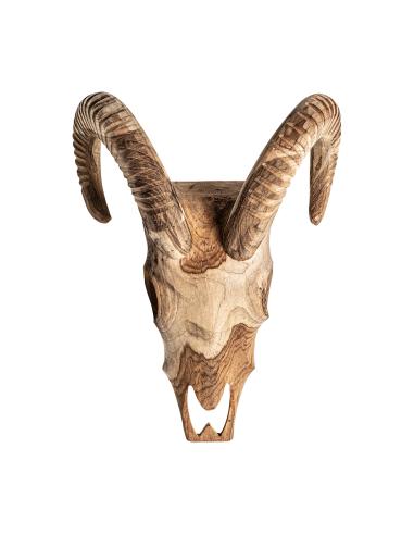 BUSTO GOAT