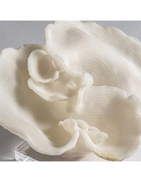 FIGURA DECORATIVA ARRECIFE