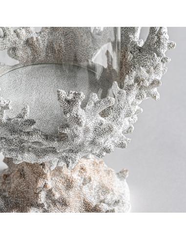 PORTAVELA ARRECIFE PORTAVELA ARRECIFE