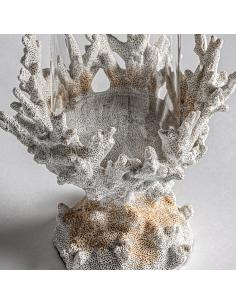 PORTAVELA ARRECIFE 2