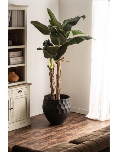 ÁNFORA J/2 ESSEG ÁNFORA J/2 ESSEG